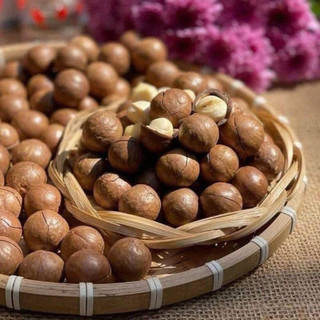 Hạt Macca Sấy Đắk Lắk Size Trung Hộp 500g Kèm Dụng Cụ Tách