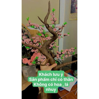  Thân bonsai giả làm cây mai cây đào trang trí tết. Gốc bonsai 