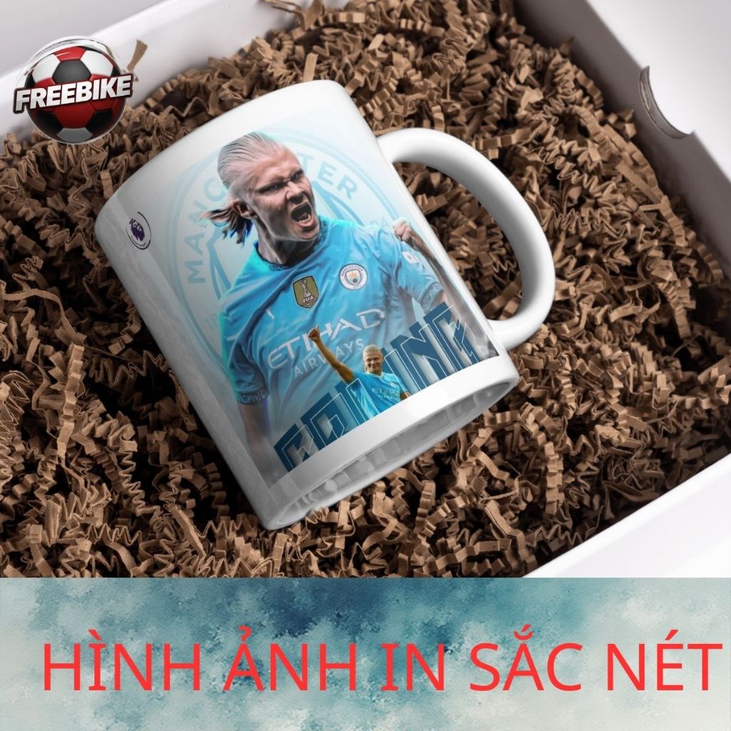 LY SỨ IN CAO CẤP HÌNH ERLING HALAND