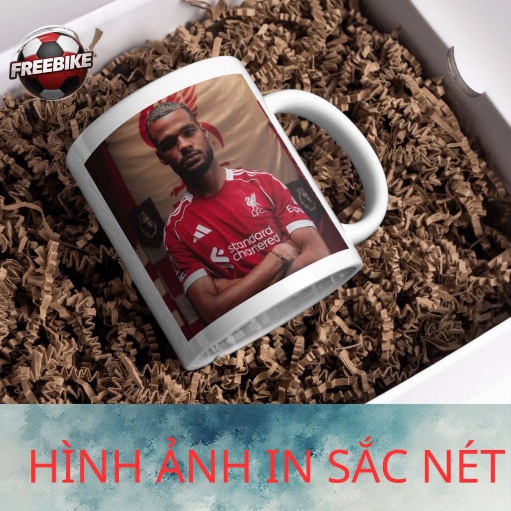 LY SỨ IN CAO CẤP HÌNH CODY GAKPO