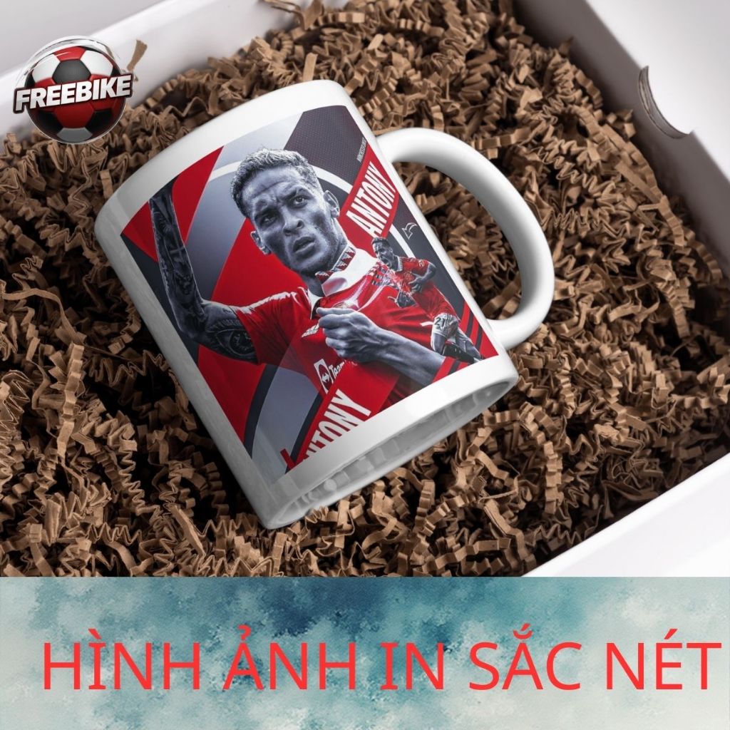 LY SỨ IN CAO CẤP HÌNH ANTONY