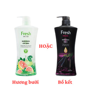  Dầu gội Fresh tinh dầu bưởi giảm rụng tóc - bồ kết óng mượt rạng ngời 650gr 