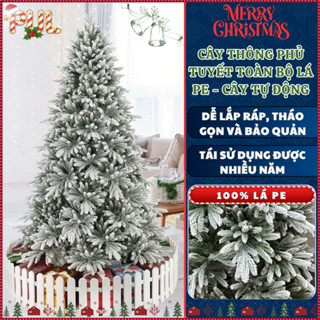    XMAS   Cây Thông Noel 1M5 1M8 2M1 2M4 3M Full Pe Phủ Tuyết cành tự động xòe trang trí giáng sinh 