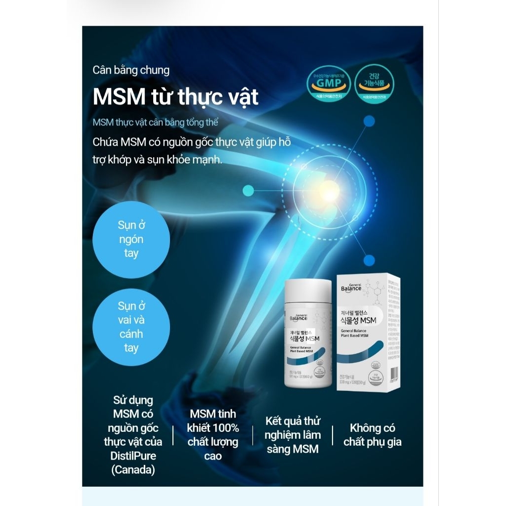 MSM GENERAL BALANCE PLANT BASED  S