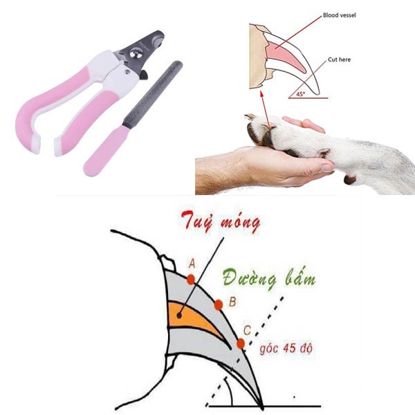 Kềm Cắt Móng Cho Thú Cưng Chó Mèo Kèm Dũa - iPet Shop