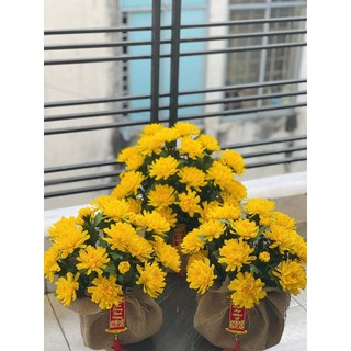 SET 50 LÁ CÚC 5 SIZE CẮT SẴN (không bao gồm kẽm)