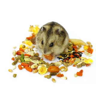  1kg Ngũ Cốc Cho Chuột Hamster Thức Ăn Cho Chuột Ngũ Cốc Cho Thỏ Ngũ Cốc Cho Sóc Thức Ăn Cho Sóc Thức Ăn Nhím 