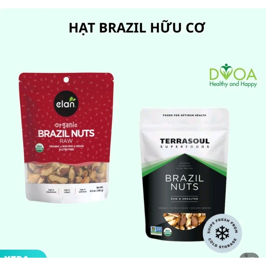 Hạt Brazil Nuts hữu cơ