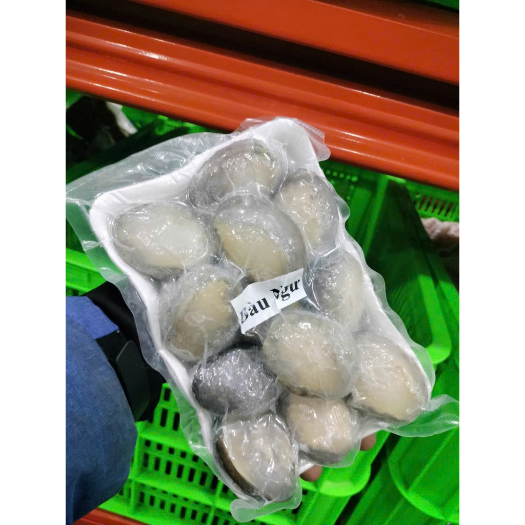 Bào ngư Hàn Quốc tươi ngon 500g/vỉ (size 8-10 con) (giao hỏa tốc TPHCM)