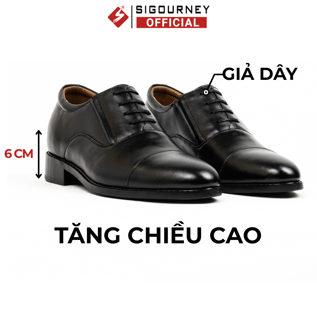 Giày Tăng Chiều Cao 6cm Dáng Oxford Giả Dây Đế Phíp SIGOURNEY SCC-16 Bảo Hành 18 Tháng