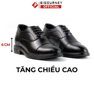  Giày Tây Nam Tăng Chiều Cao 6cm SIGOURNEY Da Bò Nguyên Tấm Nhập Khẩu Màu Đen Và Nâu Patina 