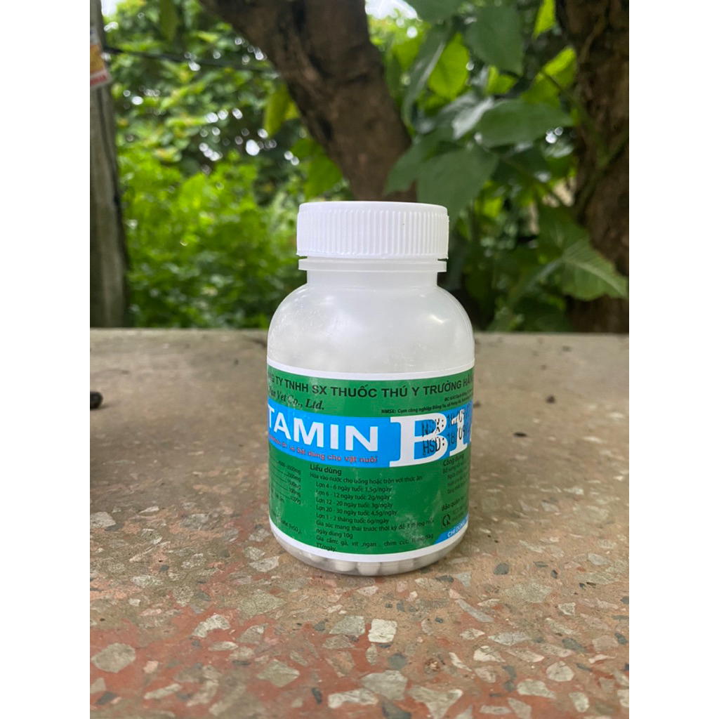 Vitamin B1 viên tăng tính thèm ăn, hỗ trợ tiêu hoá, ngon miệng Cho chó mèo, gà, gia súc, gia cầm (lọ