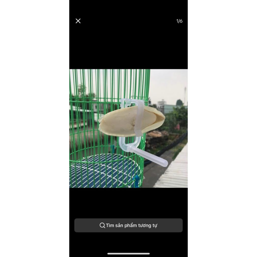 kẹp nang mực - kẹp mai mực ( chỉ có kẹp)