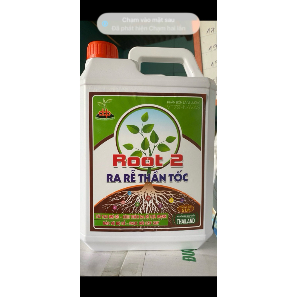 Root 2 . Ra rễ thần tốc