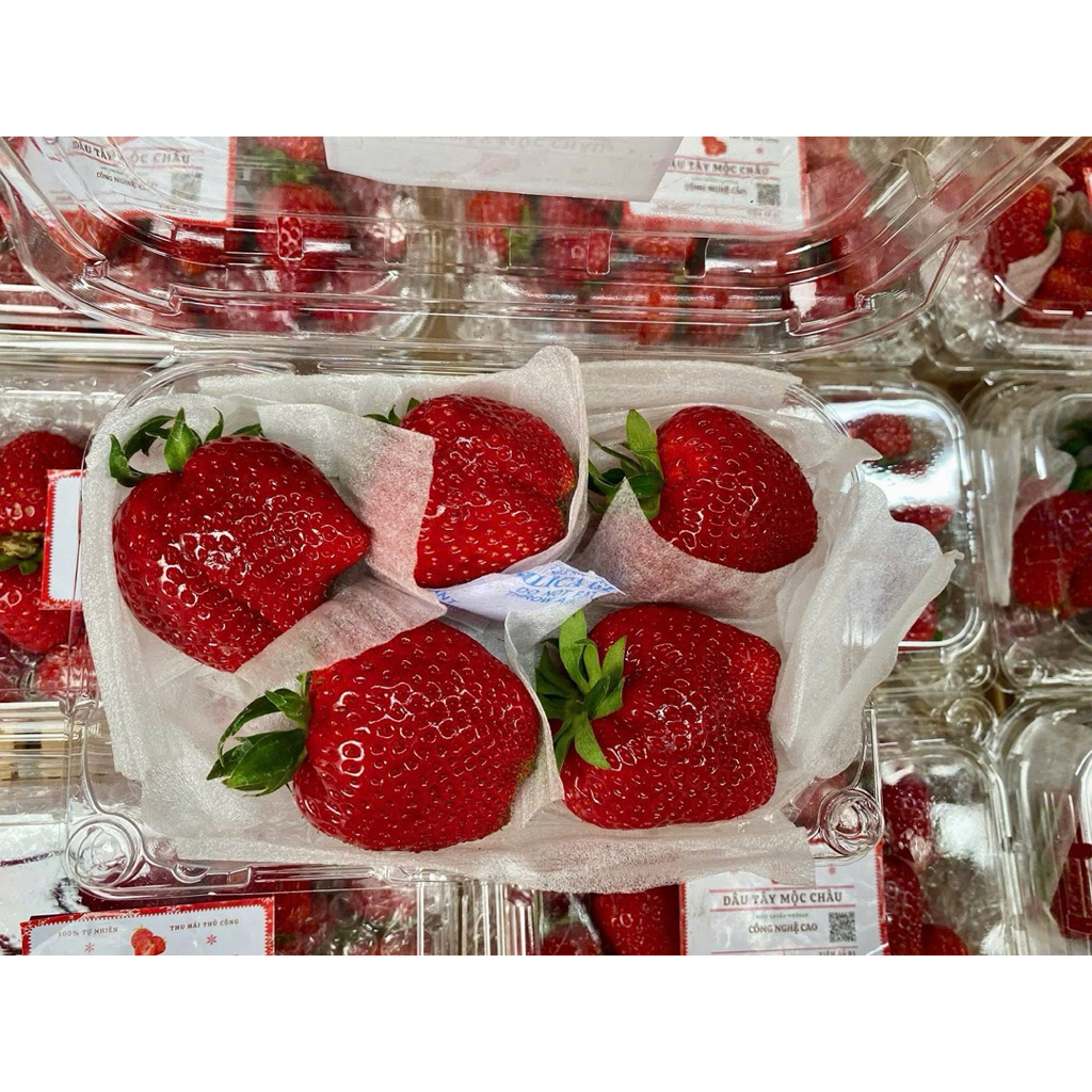 Dâu tây HiChi-dâu tây chất lượng cao/500g/1hộp