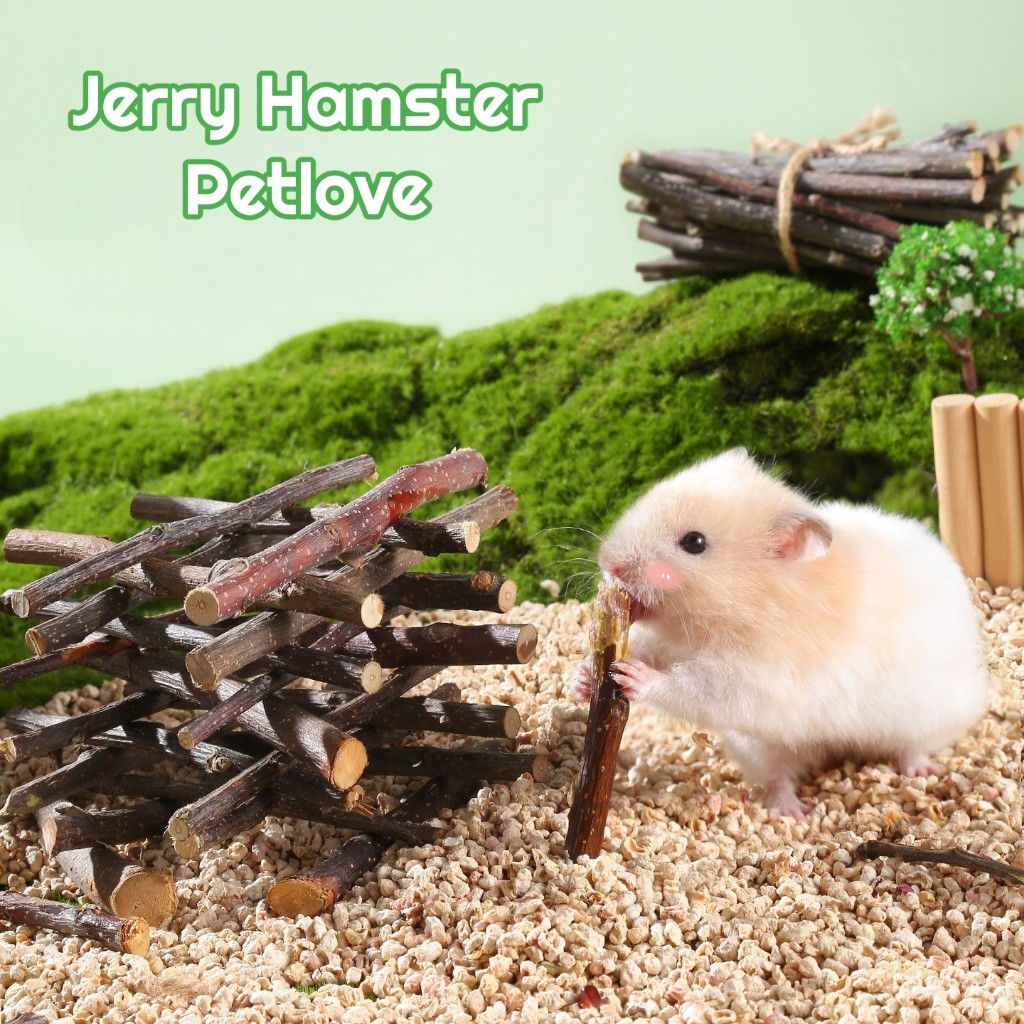Cành táo mài răng cho Hamster/thỏ/bọ/chuột lang/vẹt…