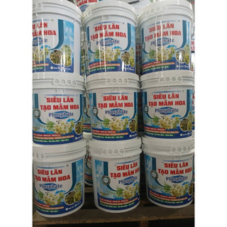   1,2XÔ ĐƠN  SIÊU LÂN TẠO MẦM HOA PHOSPHATE xô 20kg dạng nước giúp lá già nhanh   chuyển hoá mầm hoa- ra hoa đều,... 