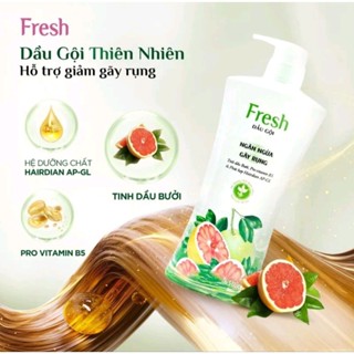  DẦU GỘI BƯỞI FRESH GIẢM GÃY RỤNG TÓC 650G 
