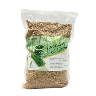 Hat Giống Cỏ Lúa Mì 1kg Viet Healthy