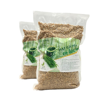 Hat Giống Cỏ Lúa Mì 1kg Viet Healthy