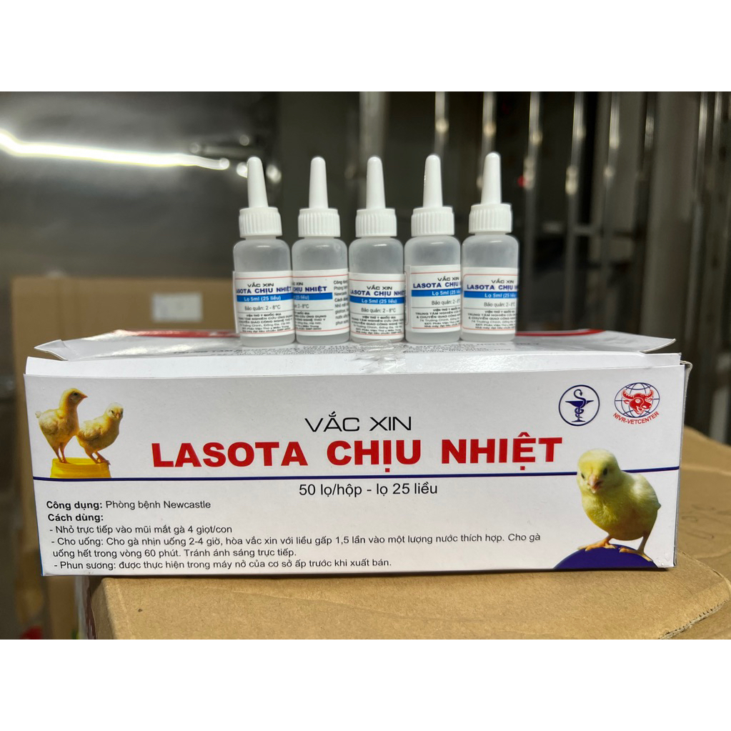 Vaccin lasota chịu nhiều liều 25 con dùng cho gà từ 3 ngày tuổi