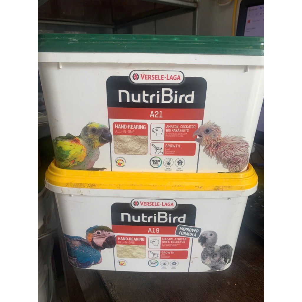 [200g] Bột Nutri A21 A19 Cho Chim Vẹt Non
