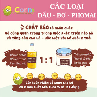 Dầu óc chó hữu cơ Dmbio - Đức - Cho bé 6m+