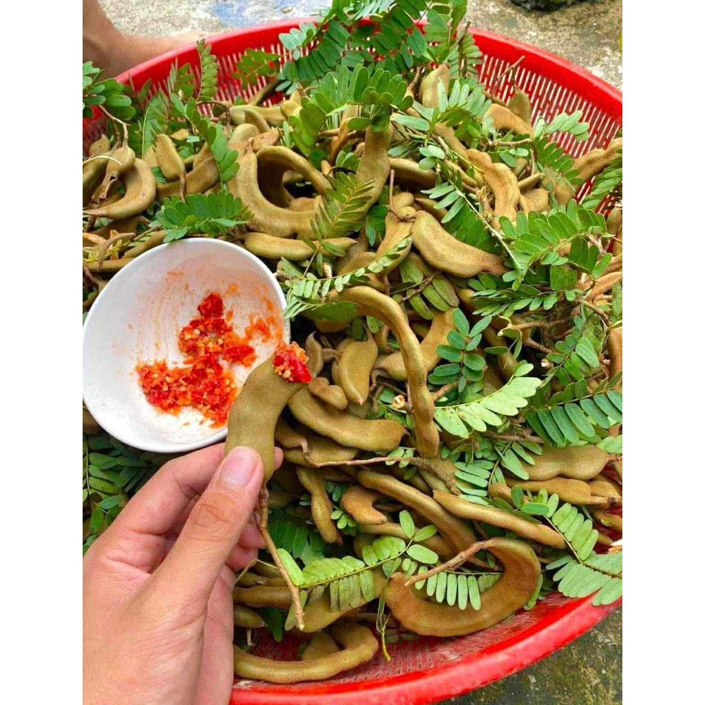 1kg quả me xanh kem muối chấm 85k/1kg