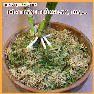 100G GIÁ THỂ TRỒNG GIỮ ẨM CHO LAN RÊU TRẮNG ( DỚN TRẮNG)