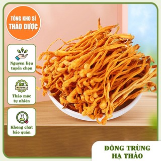  Đông trùng hạ thảo sấy khô 500g trà đông trùng dùng pha trà hầm canh ngâm mật ong 