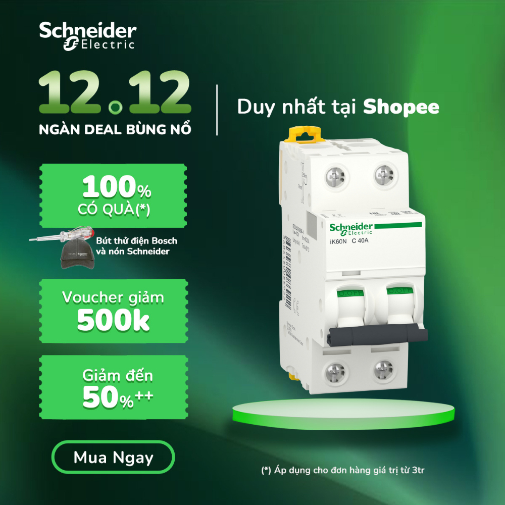 Aptomat 2P 6kA dòng Acti9 iK60N - Schneider Electric - A9K24240 A9K24250 A9K24263