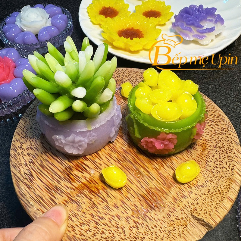 Khuôn silicon hình chậu hoa đào