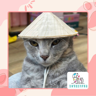 Nón Lá Cho Thú Cưng Chó Mèo