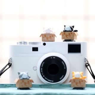 Nắp che chân flash hình mèo