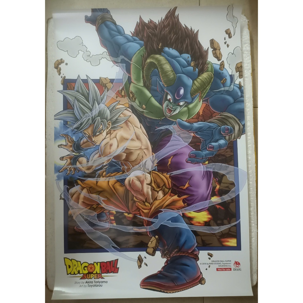 Poster fes Dragon ball