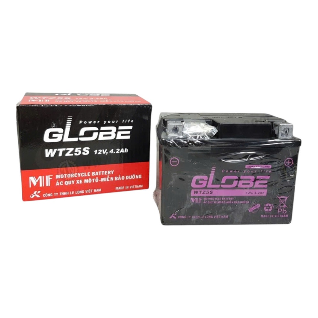 Bình ắc quy xe máy GLOBE WTZ5S (12V-4.2Ah)