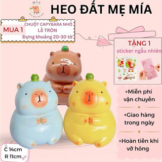  Heo Đất Tiết Kiệm Chuột Capybara Size Nhỏ Lỗ Tròn đáng yêu Heo Đất Mẹ Mía | Ống Tiết Kiêm Trang Trí Quà tặng 