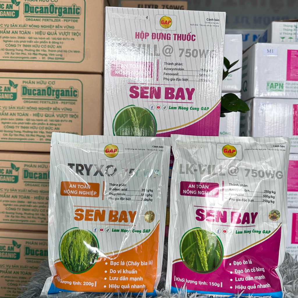 1 Cặp Sen Bay GAP - Đạo ôn, Vi Khuẩn - 1 Cặp sd cho 1 Hecta