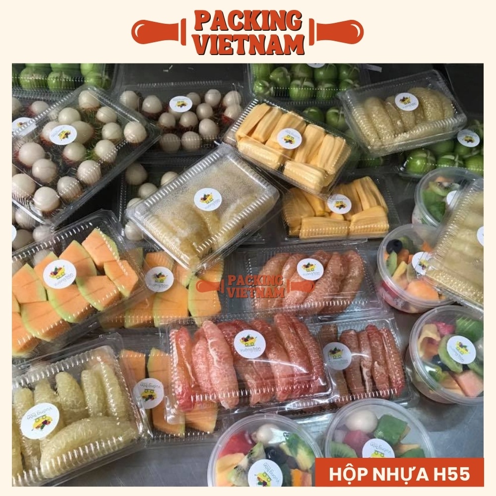 Hộp nhựa đựng bánh su kem - Hộp nhựa H55 đựng bánh su kem