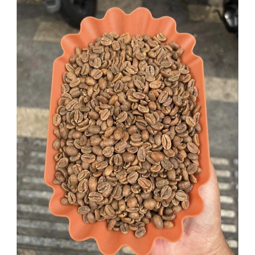 [CAO CẤP] hạt nhân xanh cà phê gesha Panama finca Santa Teresa