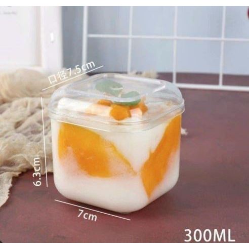 Combo 10c Hộp nhựa GD2013 KÈM NẮP vuông 250ml đựng bánh tiramisu