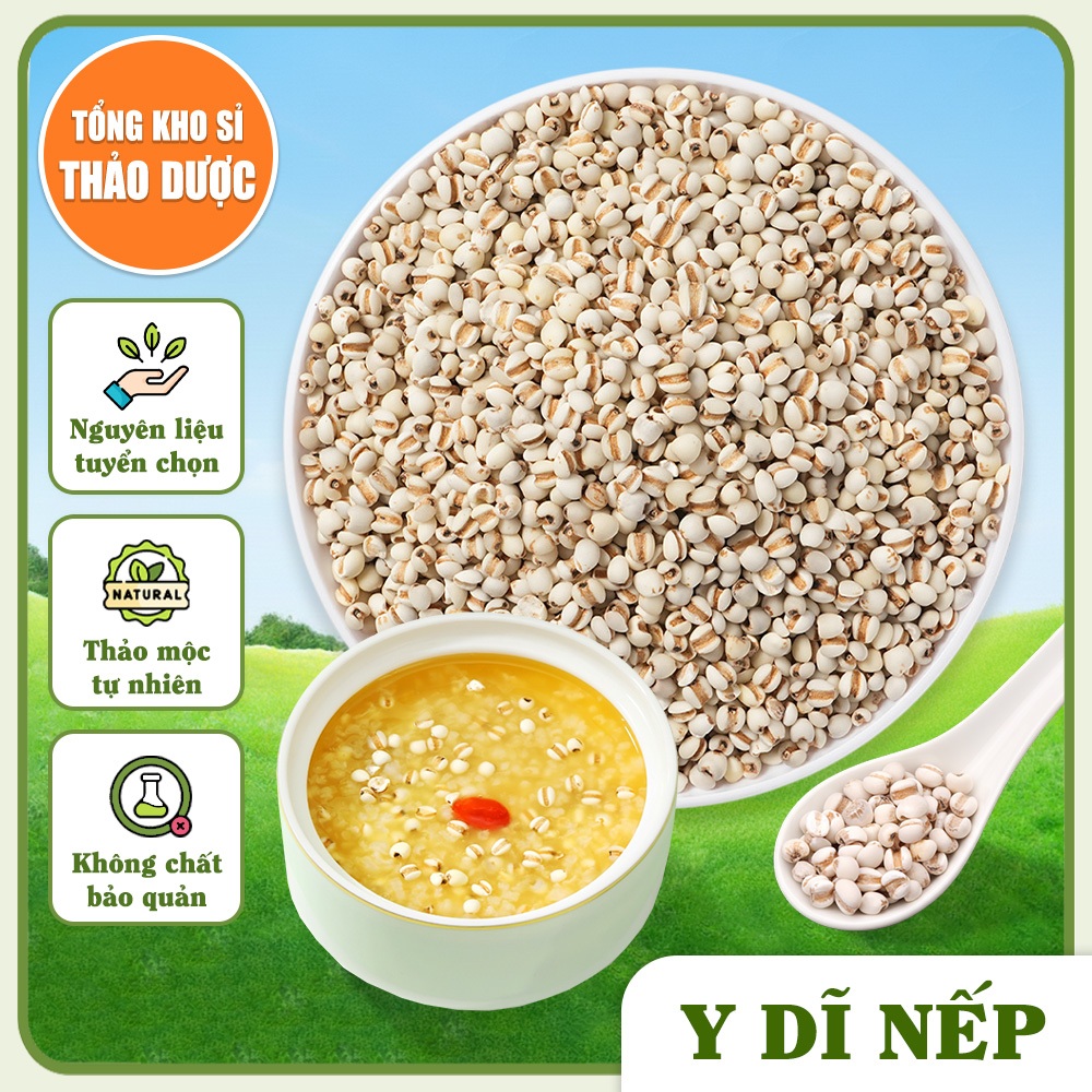 Y dĩ nếp 100g, ý dĩ nếp, hạt bo bo, thơm, bở bùi, dùng nấu cháo, pha trà, hầm canh, nấu sữa hạt