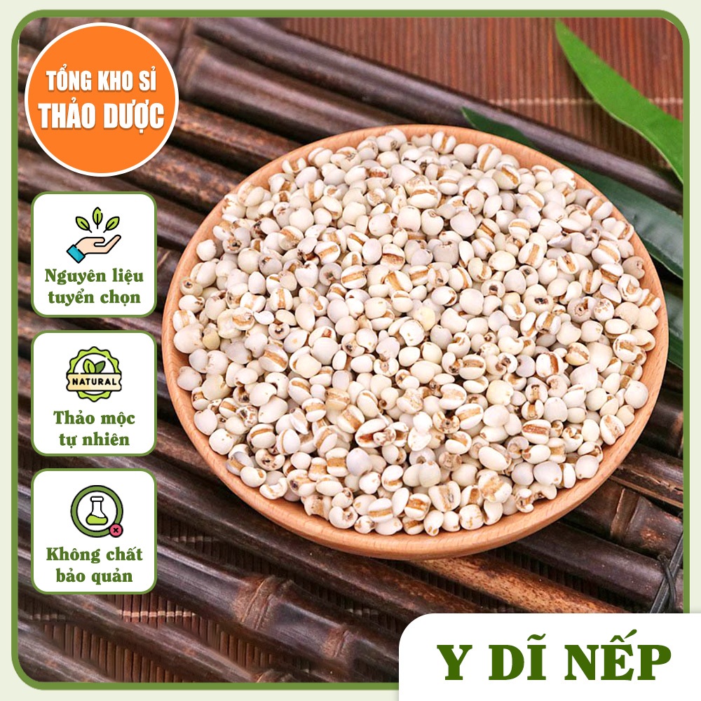Y dĩ nếp 500g, ý dĩ nếp, hạt bo bo, thơm, bở bùi, dùng nấu cháo, pha trà, hầm canh, nấu sữa hạt