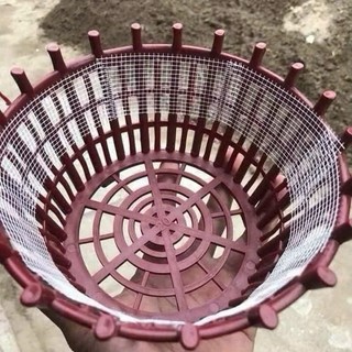 Lưới Dán Chậu Lan, Lưới Thạch Cao,  (Dài 50m)