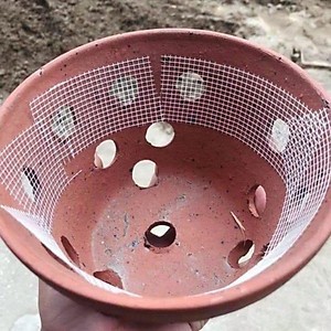 Lưới Dán Chậu Lan, Lưới Thạch Cao,  (Dài 50m)
