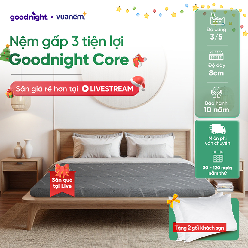 [TẶNG 2 GỐI] Nệm Gấp 3 Vua Nệm Goodnight Core (Akita) 8cm, Nệm Foam, Đệm sinh viên | BigBuy360 - bigbuy360.vn