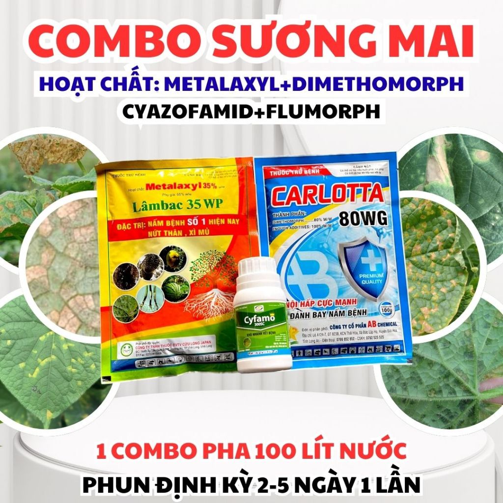 COMBO KIỂM SOÁT SƯƠNG MAI – CHÁY LÁ – ĐỐM LÁ DƯA LEO | Pha 100 Lít Nước Carlotta 80WG + Lambac 35WP 