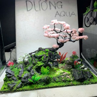 Layout Bể Cá Kích Thước Dài 29cm, Rộng 16cm, Cao 18cm