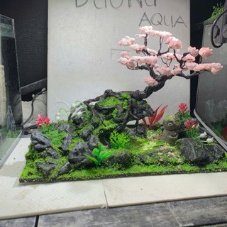 Layout Bể Cá Kích Thước Dài 29cm, Rộng 16cm, Cao 18cm