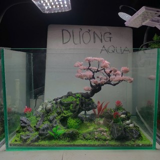 Layout Bể Cá Kích Thước Dài 29cm, Rộng 16cm, Cao 18cm